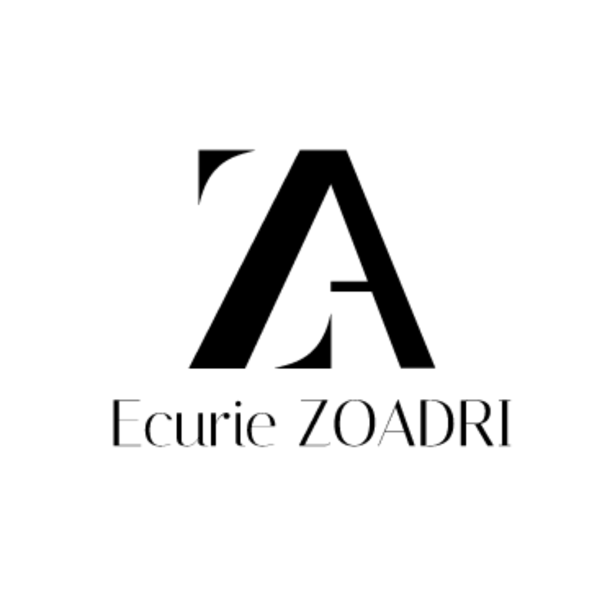 Logo Écurie Zoadri